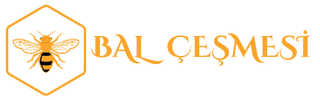 Balcesmesi.com